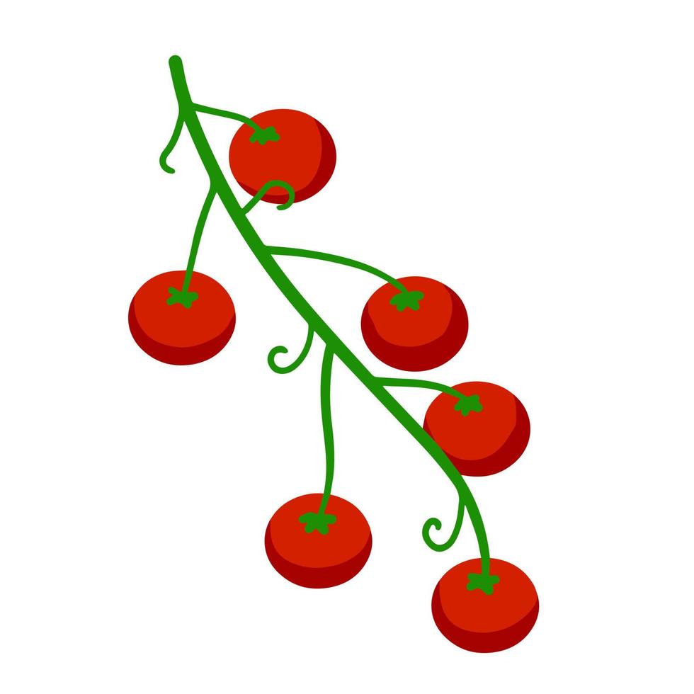 ciliegia pomodoro. rosso verdura su ramo. piatto cartone animato isolato su bianca sfondo. raccolta e vegetariano cibo vettore