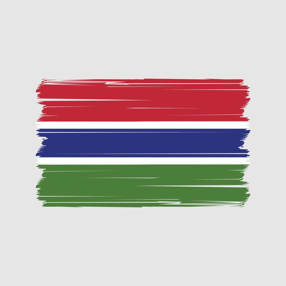 Gambia bandiera vettore. nazionale bandiera vettore