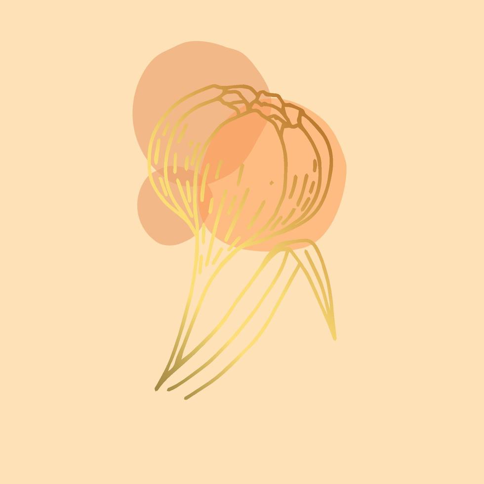 disegnato a mano tulipano con astratto macchie. d'oro elemento su beige sfondo. boho. arredamento. astrazione nel pastello calma toni. isolato vettore illustrazione