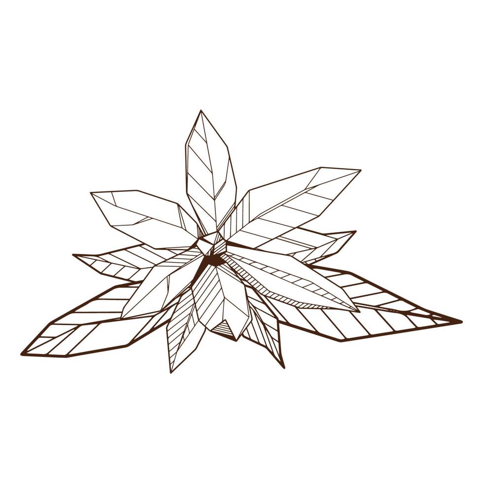 delineato mano disegnare geometrico fioritura fiore, ylang-ilang germoglio linea arte, impostato di isolato simboli, colorazione libro modello. vettore