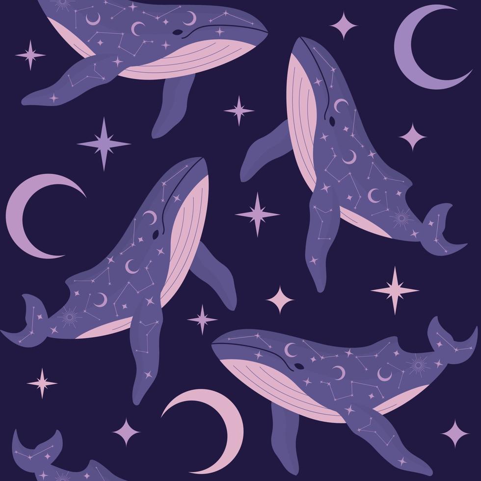 balene con costellazioni vettore