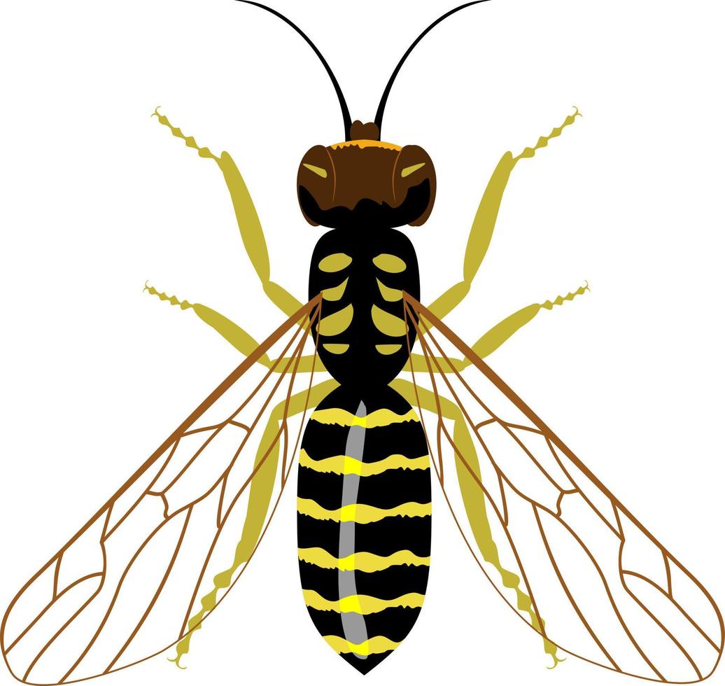 colorato silhouette di vespa. illustrazione di volante insetti vettore
