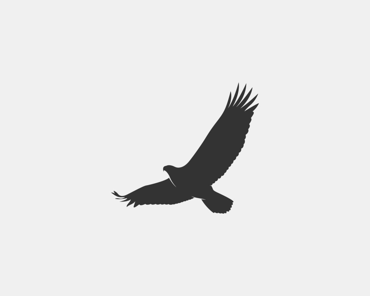 aquila vettore silhouette