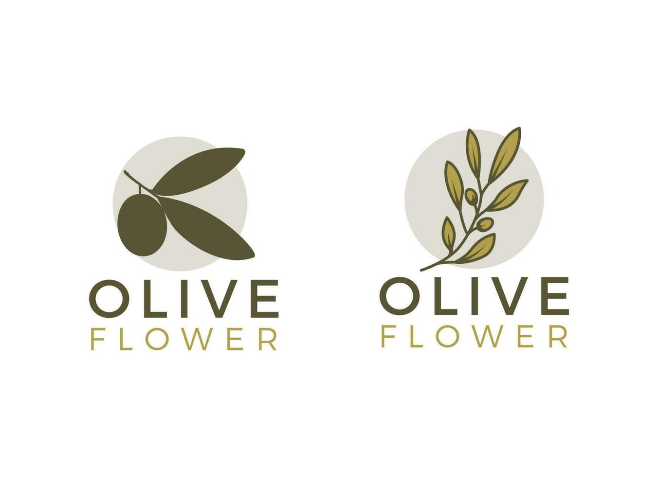 natura erbaceo oliva olio pianta, oliva foglia fiore logo design vettore