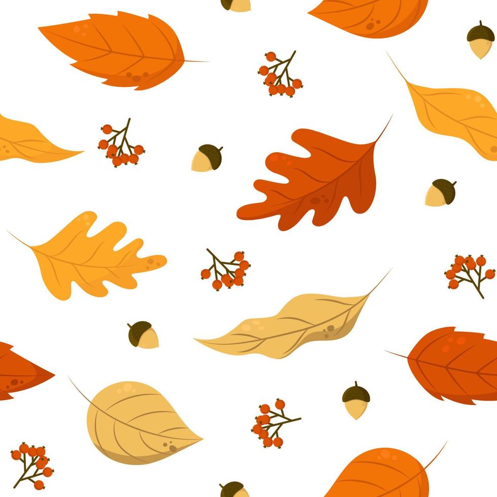 autunno le foglie senza soluzione di continuità modello. vettore illustrazione con caduto foglie, ghiande e sorbo. Perfetto per involucro carta, Imballaggio, tessile, eccetera.