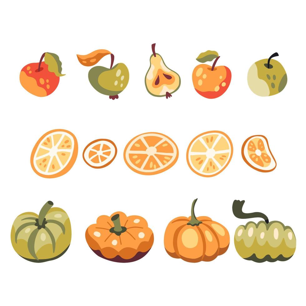 impostato di autunno raccolto, zucche, mele, agrumi vettore