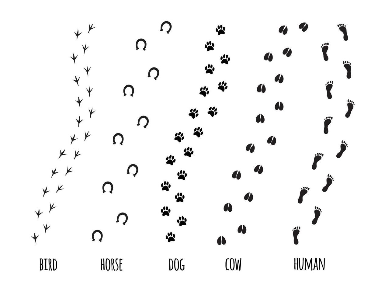 vettore nero impostato di animale piede Stampa sentiero traccia