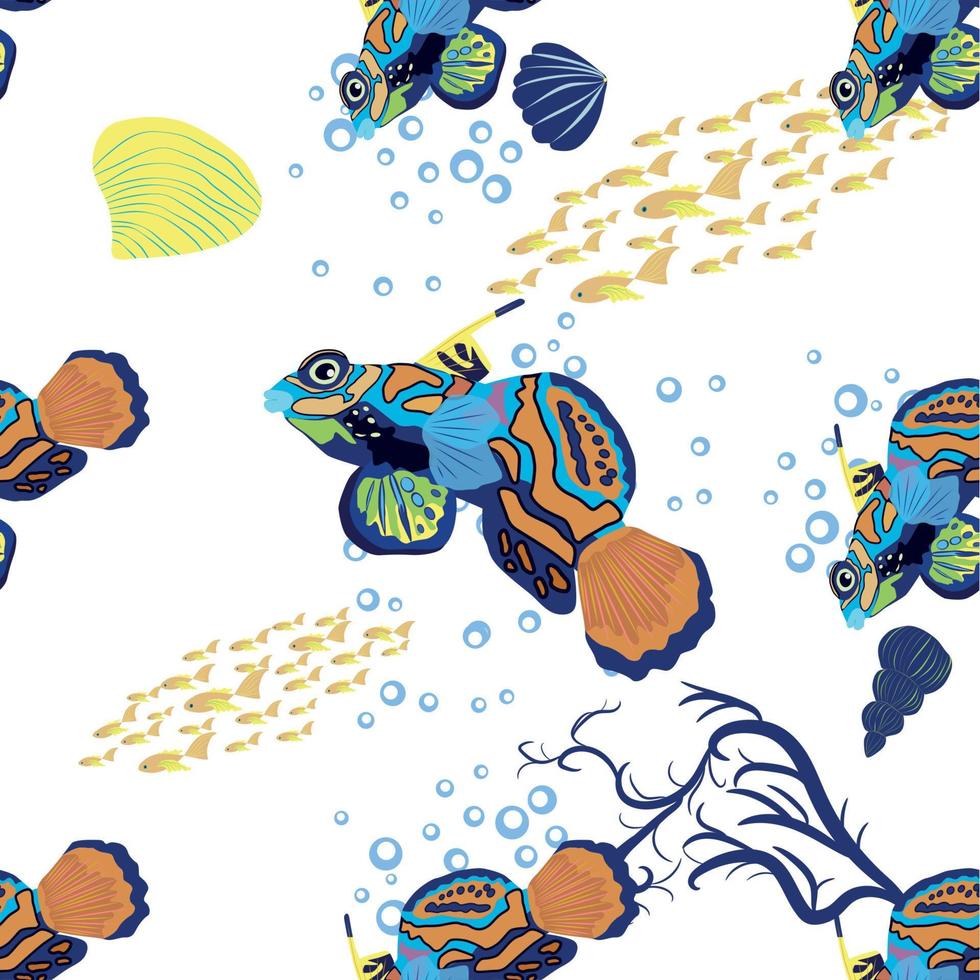 mandarino pesce senza soluzione di continuità modelli. bellissimo personaggio tra conchiglie, alga marina, stella marina, mare animale natura carattere. natura sott'acqua, marino selvaggio oceano zoo pesce. vettore