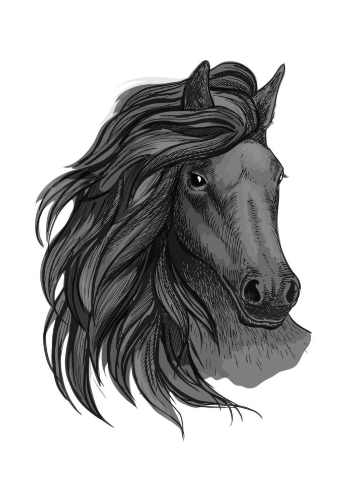 nero cavallo con appassionato occhiata ritratto vettore