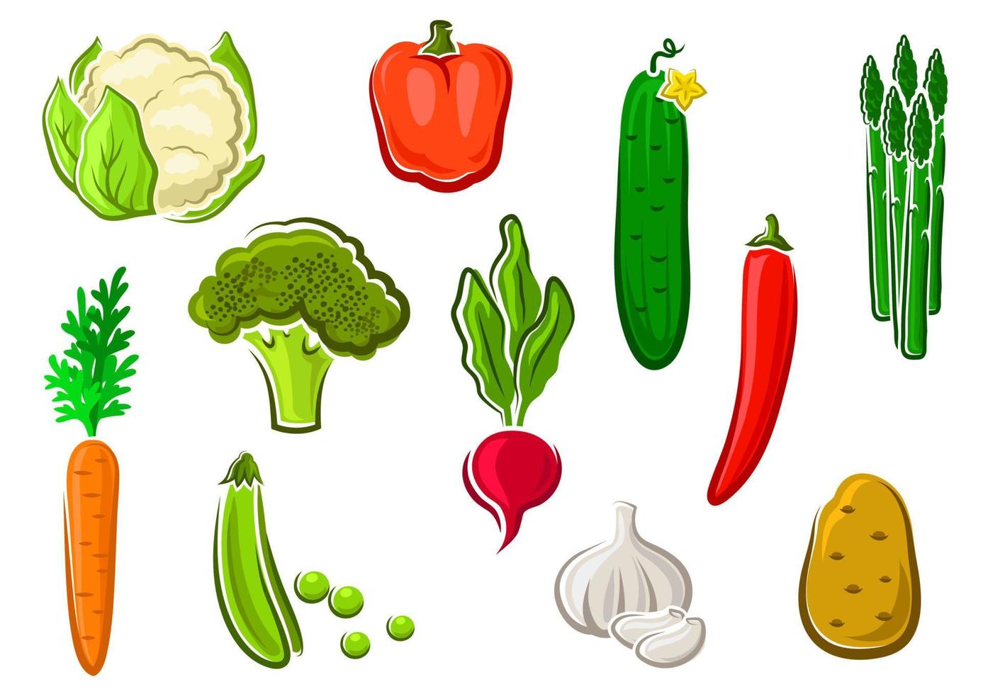 salutare maturo colorato verdure icone vettore