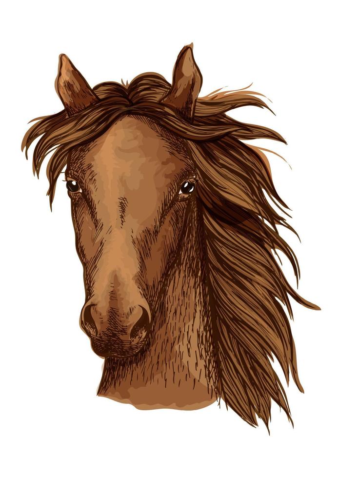 bellissimo ritratto di cavallo marrone vettore