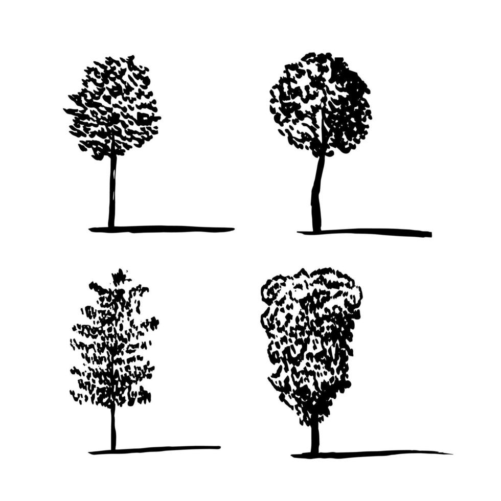 diverso alberi schizzo impostare. faggio, birsh e pino albero vettore schizzo