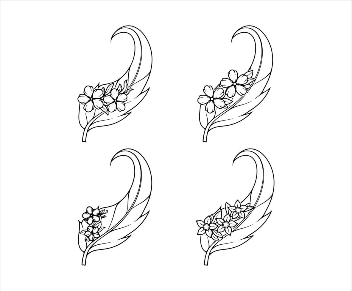 floreale piuma illustrazioni bellezza collezione vettore