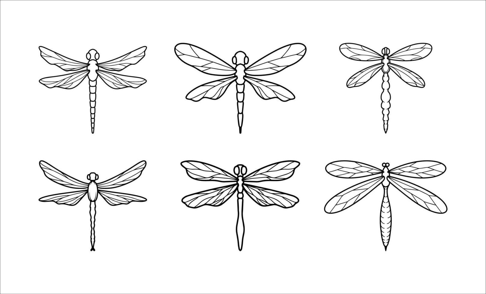 collezione di insetto libellule schema illustrazioni vettore