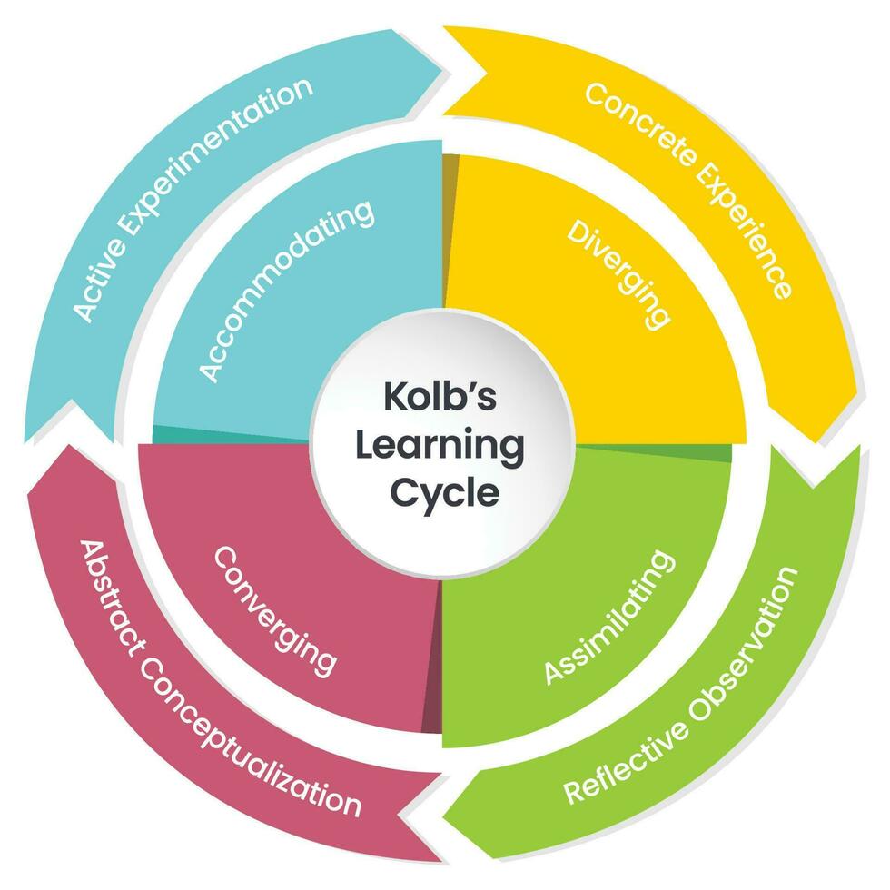 di kolb apprendimento ciclo Infografica vettore illustrazione