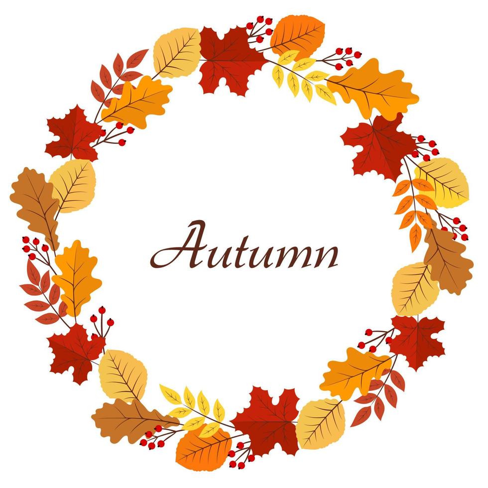 autunno il giro botanico ghirlanda con autunno le foglie e frutti di bosco. vettore autunno illustrazione. mano disegnato illustrazione per manifesto, stampe, carte