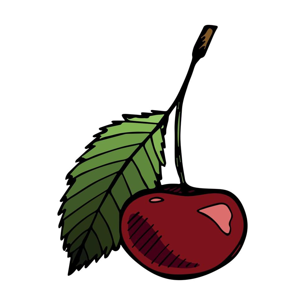 clipart di ciliegia vettoriale. icona di bacca disegnata a mano. illustrazione di frutta vettore