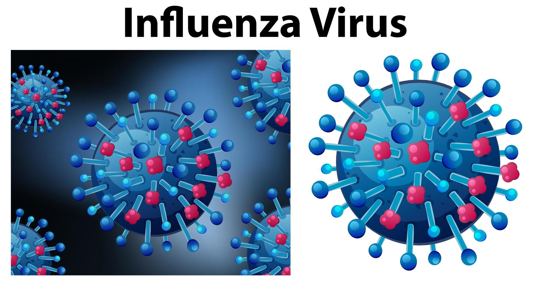 virus dell'influenza da vicino vettore