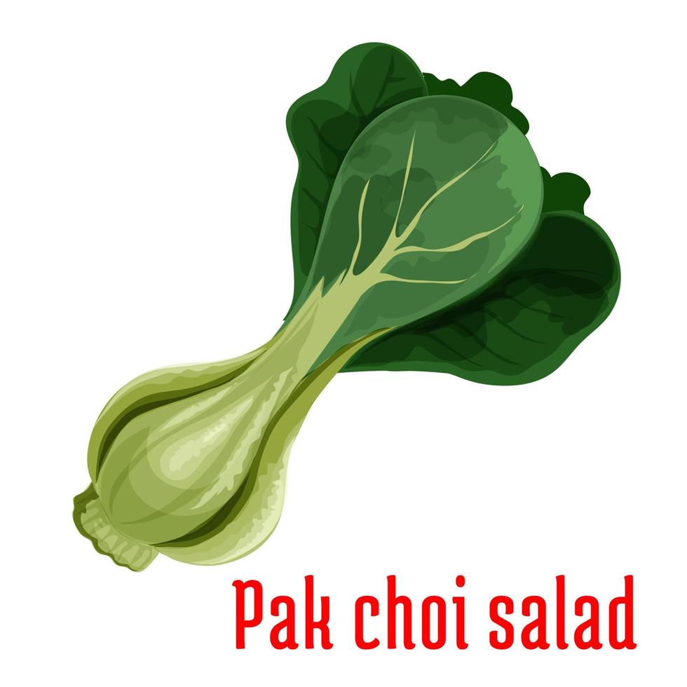 bok choy o Cinese cavolo verdura icona vettore