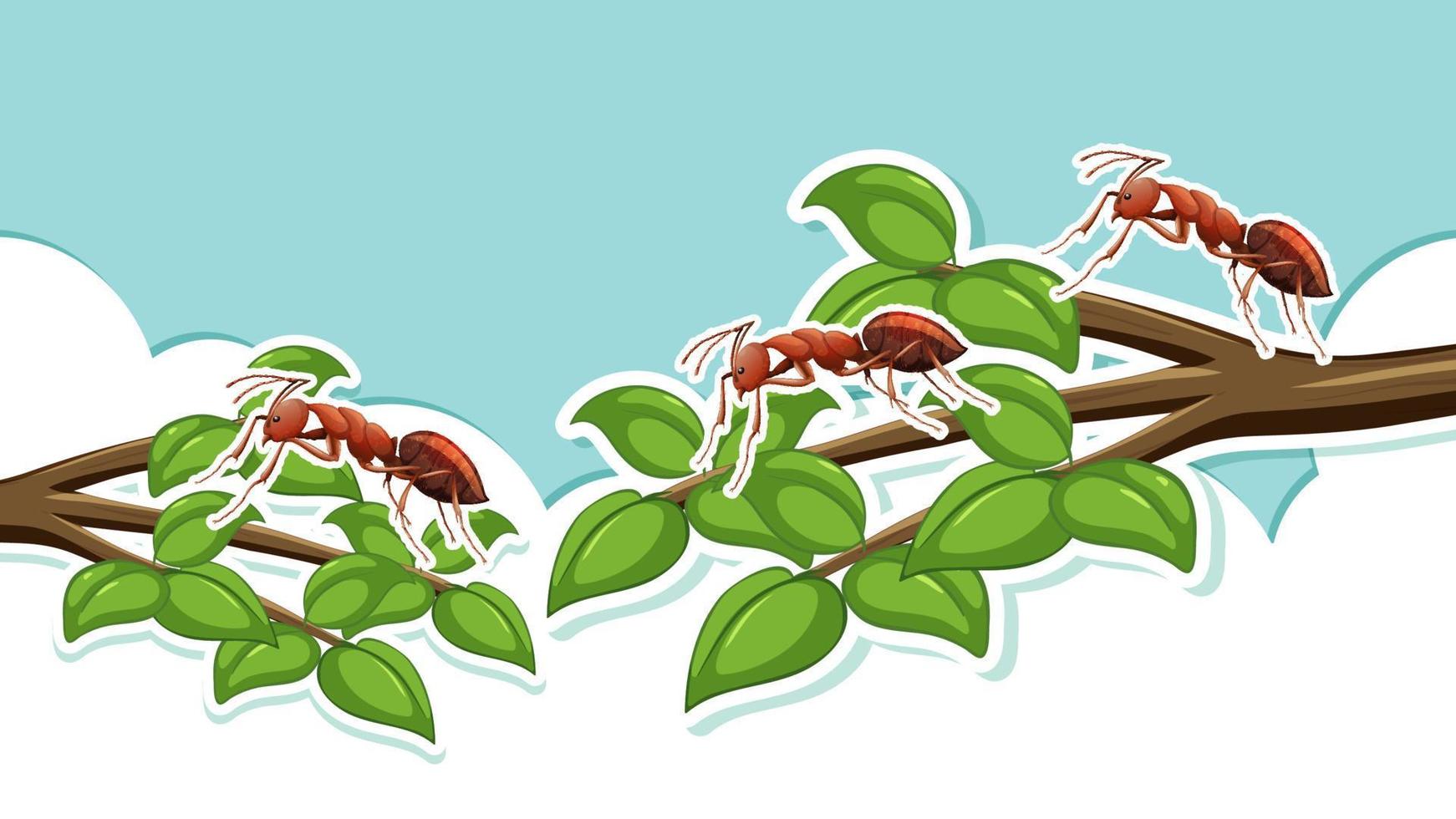 rosso formiche su albero rami vettore