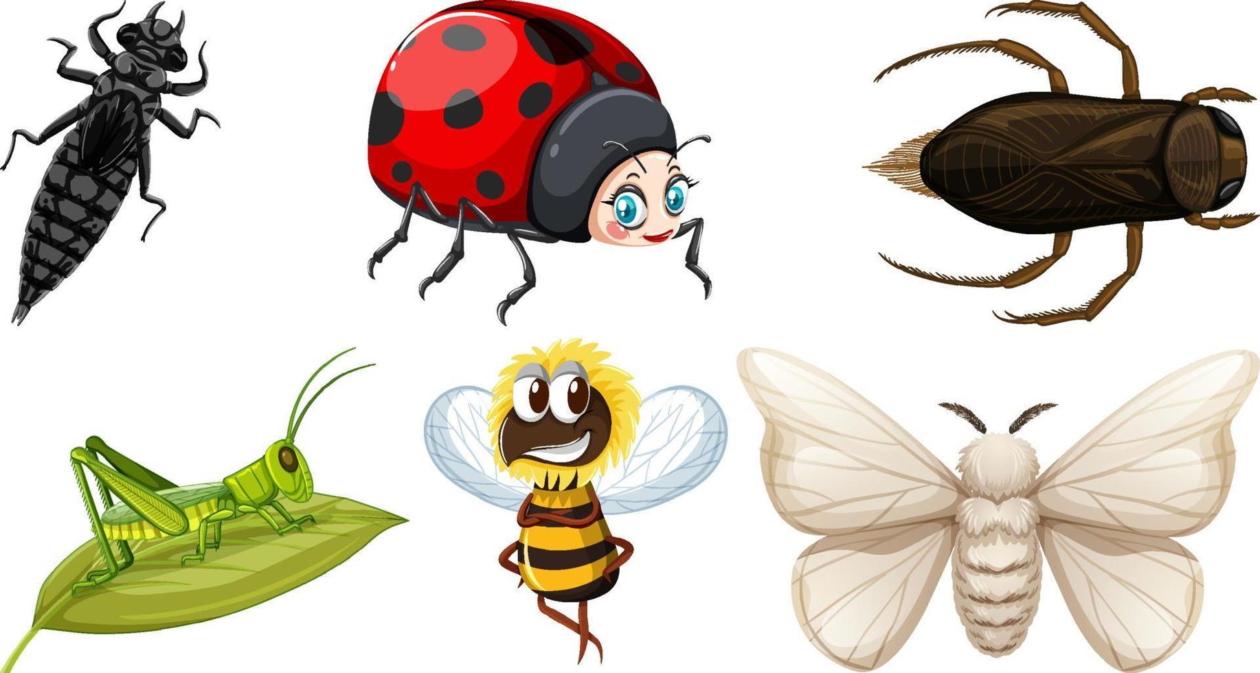 impostato di diverso tipi di insetti vettore