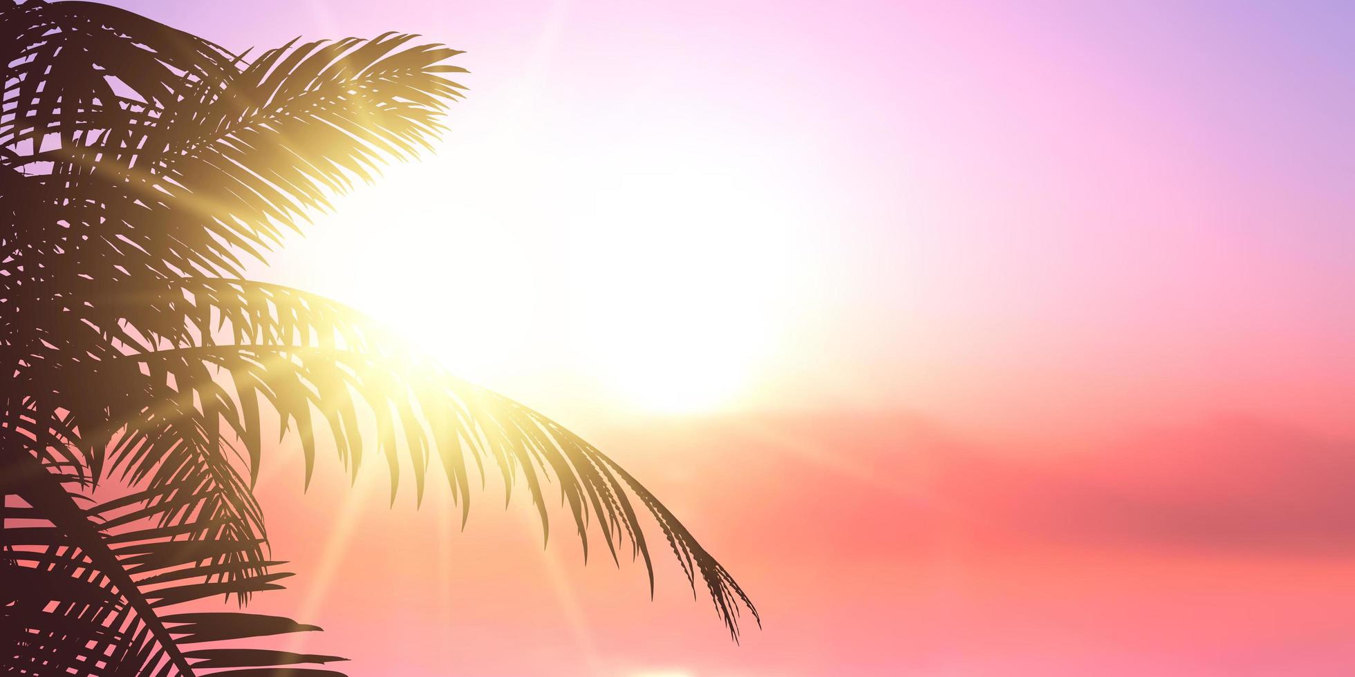 banner design estivo con silhouette di foglie di palma vettore
