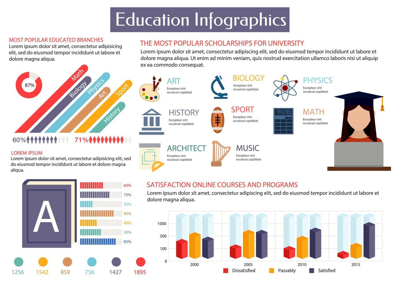 formazione scolastica infografica cartellone modello vettore