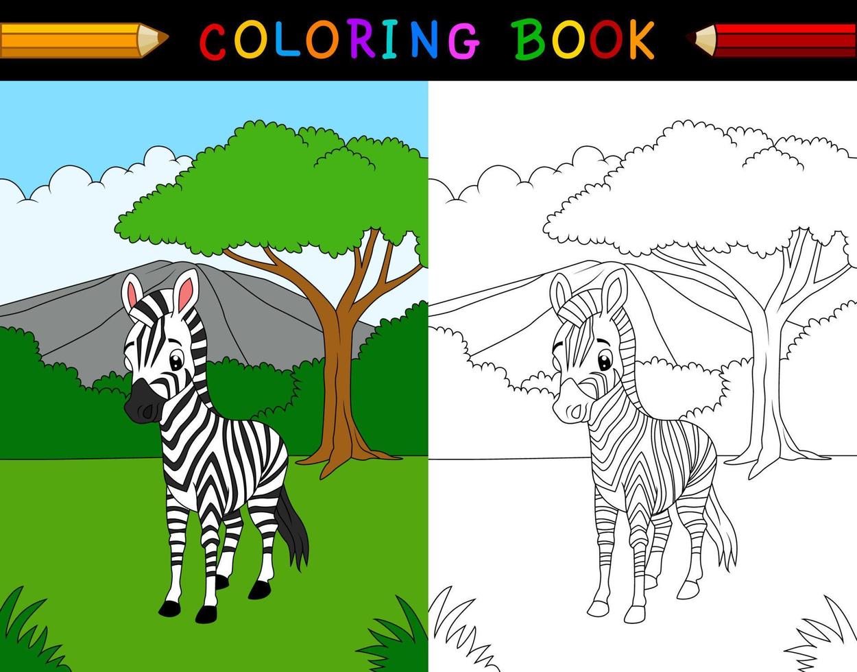 libro da colorare della zebra del fumetto vettore