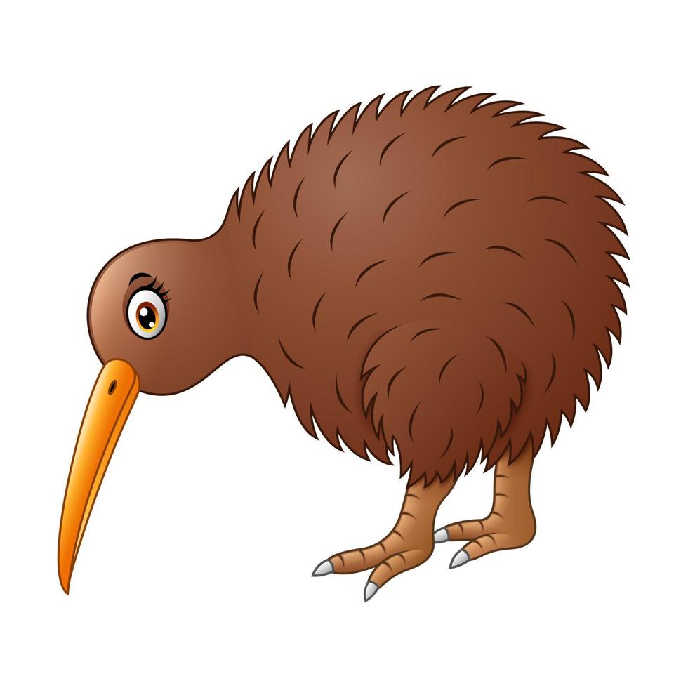 simpatico cartone animato di uccello kiwi vettore