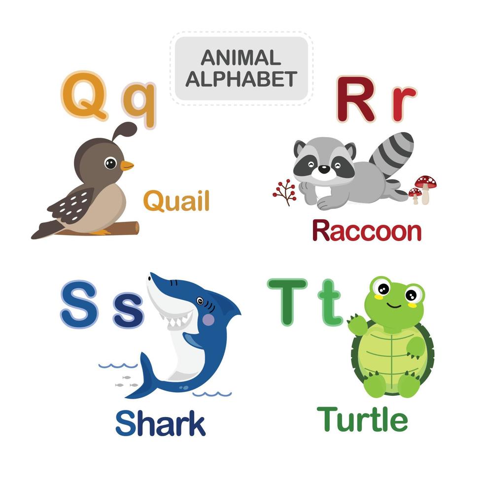 carino animale alfabeto a partire dal lettera q per t vettore