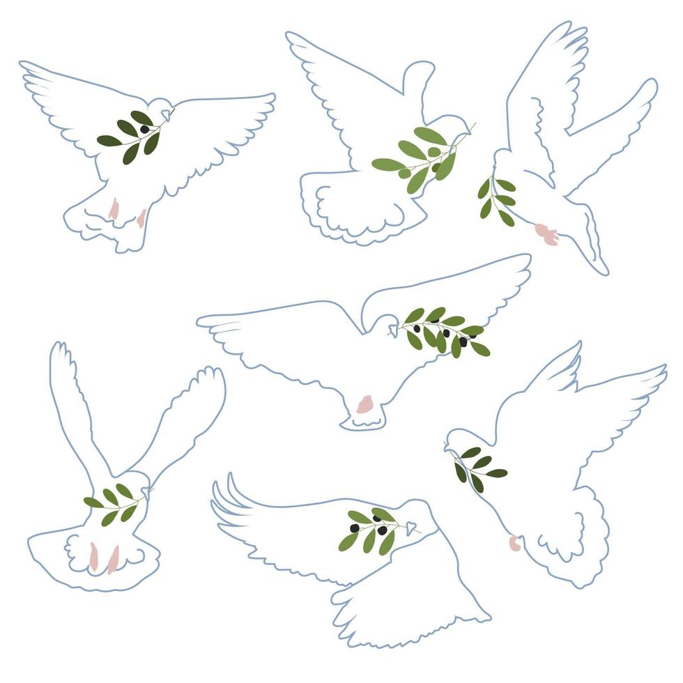 bianca colomba di pace con oliva ramo vettore impostato