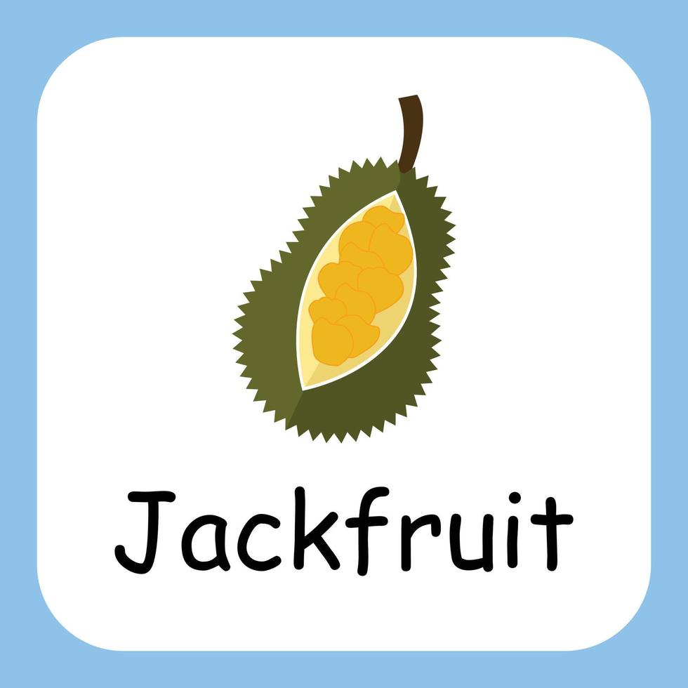 jackfruit clip arte con testo, piatto design. formazione scolastica per bambini. vettore illustrazione
