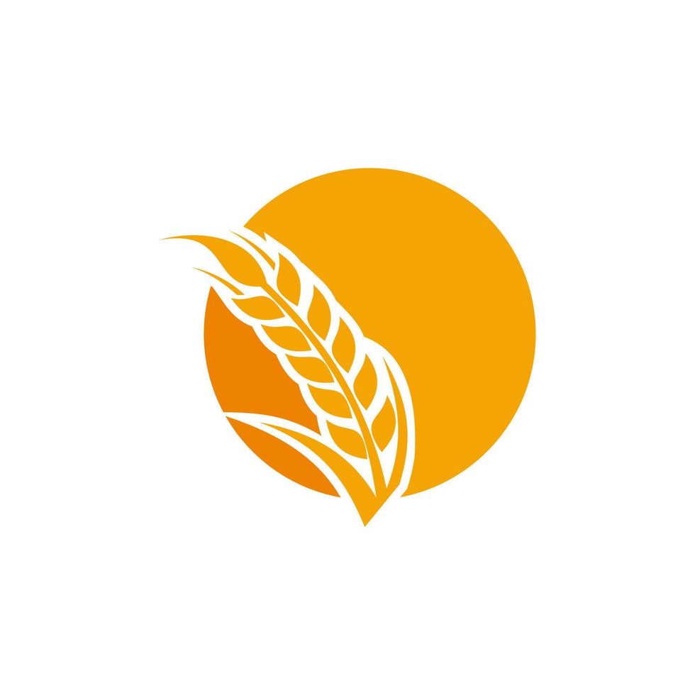 Grano grano agricoltura logo design vettore modello