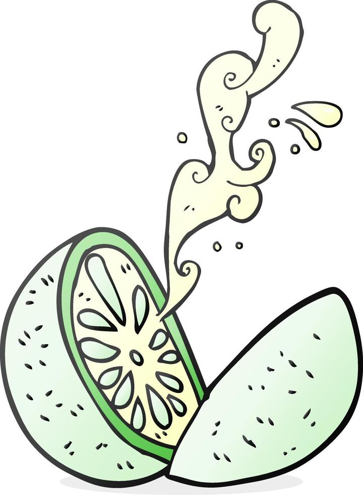 a mano libera disegnato cartone animato melone vettore