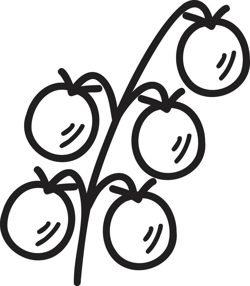 mano disegnato mazzo di pomodori illustrazione vettore