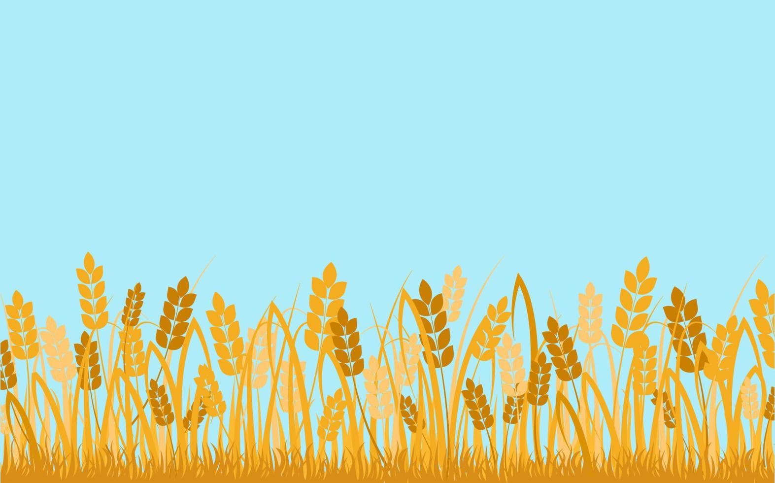 Grano campo sfondo. d'oro orecchie di cereali contro blu cielo decorativo rurale ecologico la zona. vettore