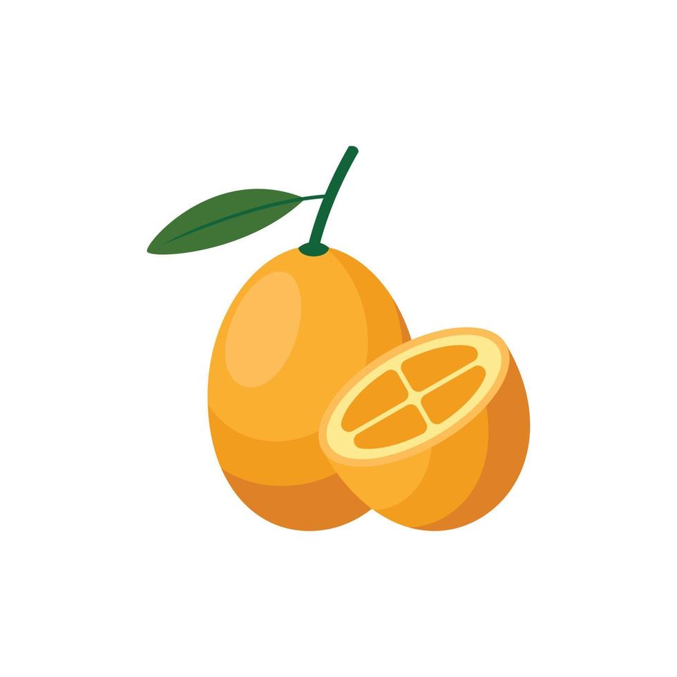 kumquat piatto design clip arte vettore illustrazione isolato su un' bianca sfondo