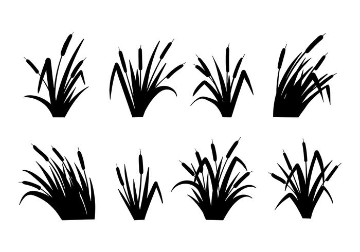 Cattails Vector in bianco e nero