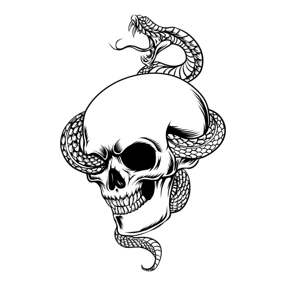 cranio con serpente vettore Immagine