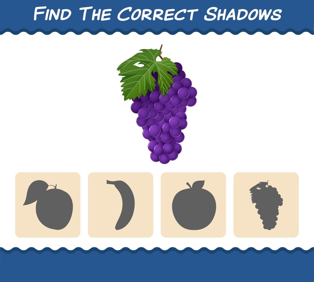 trova le ombre corrette dell'uva viola dei cartoni animati. gioco di ricerca e abbinamento. gioco educativo per bambini e bambini in età prescolare vettore