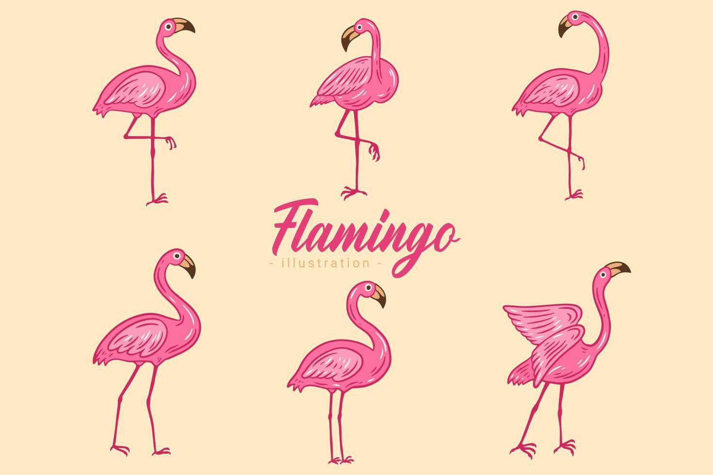 set di simpatici fenicotteri rosa uccelli fenicotteri estetici collezione in stile piatto esotico tropicale disegnato a mano vettore