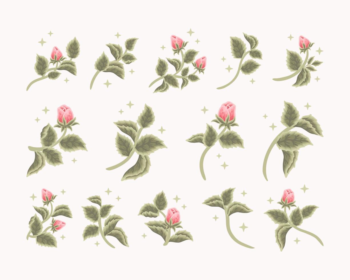collezione di logo femminile vintage romantico bocciolo di rosa, etichetta di bellezza, elementi di branding vettore