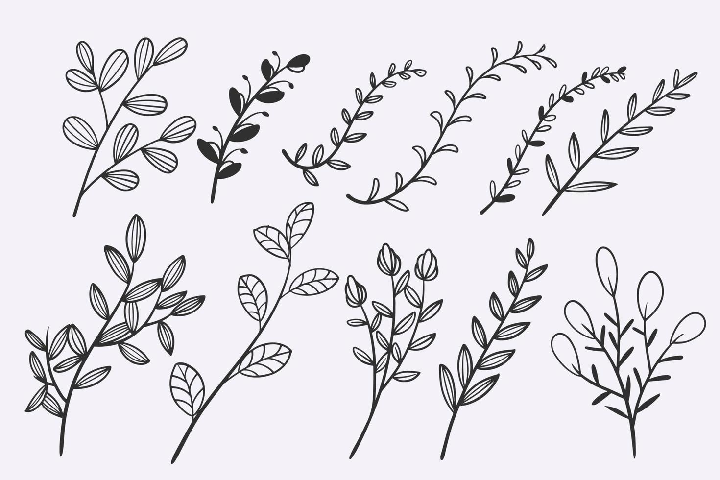 set di illustrazioni vettoriali disegnate a mano con doodle di foglie di fiori