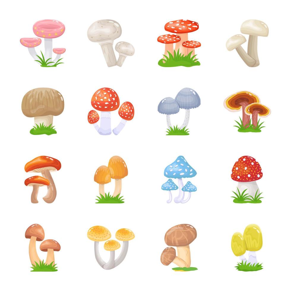 piatto illustrazioni di funghi vettore