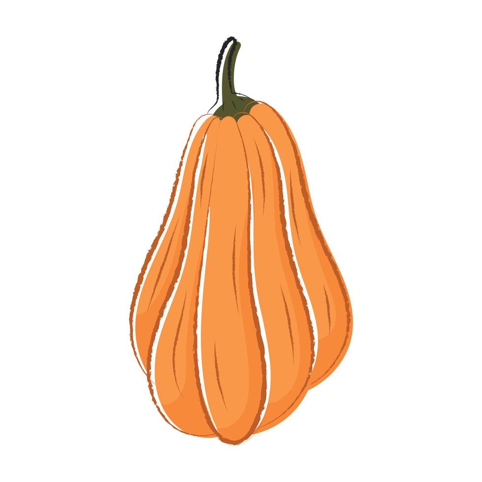 vettore isolato autunno illustrazione di Halloween zucca nel scarabocchio stile.