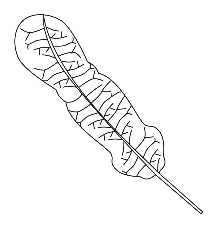 armature rustica Rafano foglia vettore icona nero e bianca