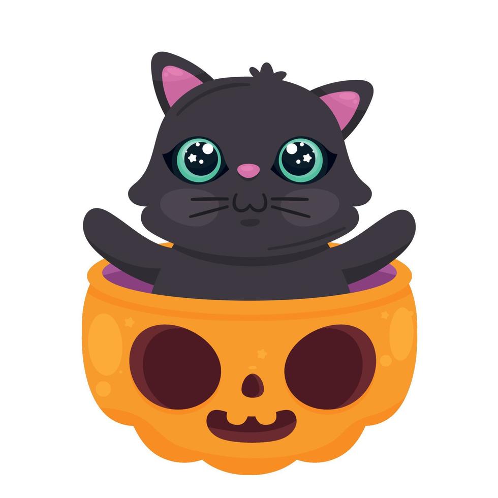 Halloween gatto nel zucca vettore