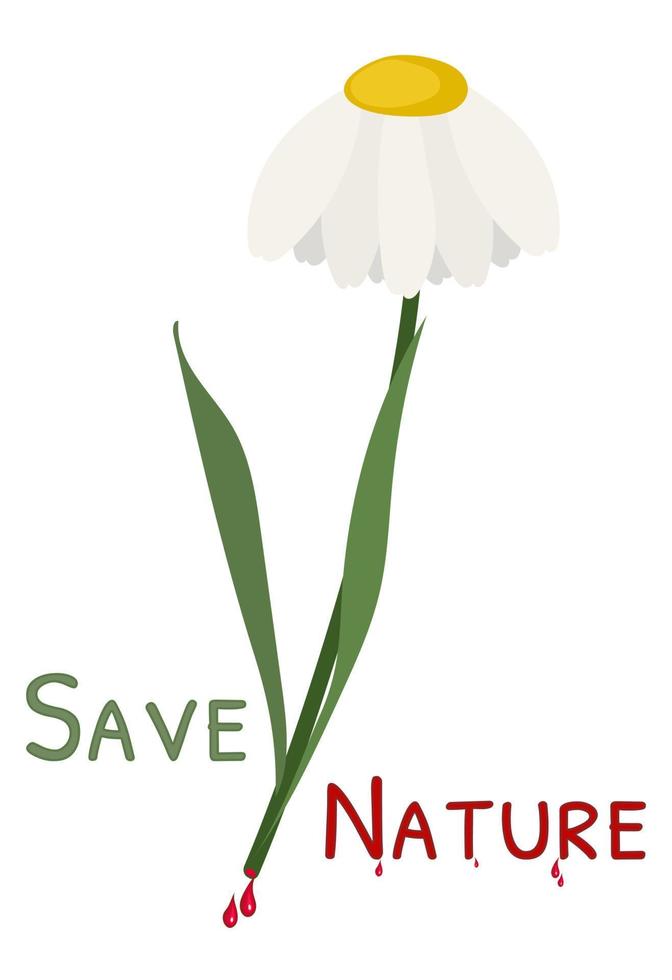 tagliare margherita fiore Salva natura vettore illustrazione isolato su bianca sfondo