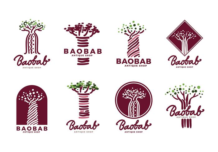 vettore di logo baobab