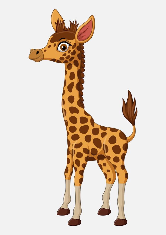 simpatico cartone animato giraffa isolato su sfondo bianco vettore